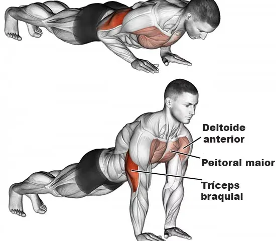 Flexão de braço em casa para fortalecer peitoral e triceps